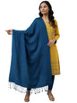 Blue Acrylic Yarn-Dyed Women'S Shawl (Size: Free Size)-24NOA80037-604250
