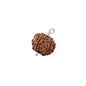 Astrotalk Nepal Origin 6 Mukhi Rudraksha with Silver-Capping | Boost Focus & Confidence | Mental Clarity, Willpower & Success | Sacred Rudraksha Bead for Women & Men