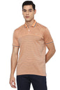 Allen Solly Men Regular Fit Striped Cotton Polo Neck Polo Shirt