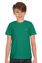 Allen Solly Boys Solid Crew Neck T-Shirt