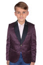 Allen Solly Boys Regular Fit Blazer