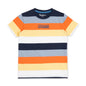 Pepe Jeans Boys Regular Fit Printed T-Shirts Multi Colour