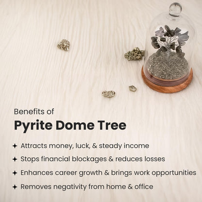 Astrotalk Pyrite Dome Tree (12x8cm) | Certified Pyrite Stone Tree for Wealth & Success | Decorative Item for Home & Bedroom | Aesthetic Home Decor Gift Item | Gift for Man & Woman