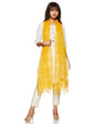 Aurelia Rayon Dupatta (17Auk75010-02865_Yellow_One Size)