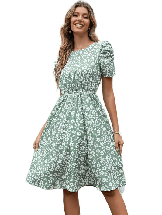 Tagas Women'S Rayon Fit And Flare Knee-Length Dress (Op-3110-1-Pista-M_Pista
