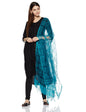 Aurelia Rayon Dupatta (17Auk75010-02873_Blue_One Size)