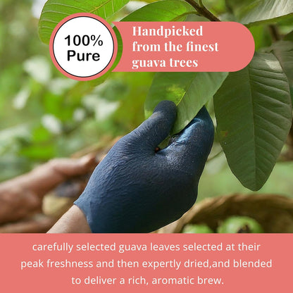Akshit Dried Guava Leaves 100% Natural, ( Hojas De Guayaba ) | Loose Tea, Non-GMO, Vegan, Gluten-Free | Support Digestive and Immune Health  2.5 oz