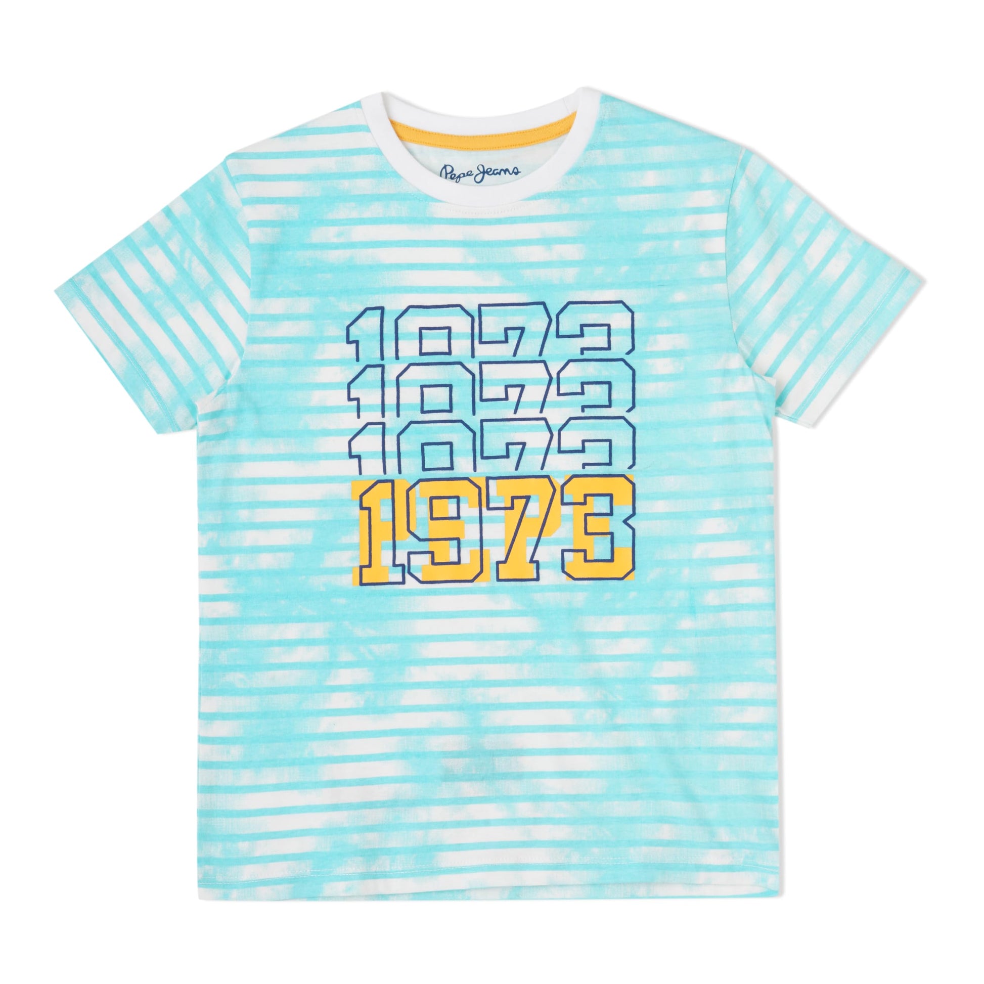 Pepe Jeans BoyS Regular Fit T-Shirt (Pb50364964012_Sea Green