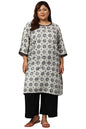 Aurelia Women's Viscose Regular Kurta (22AUA13527P-504125_Grey