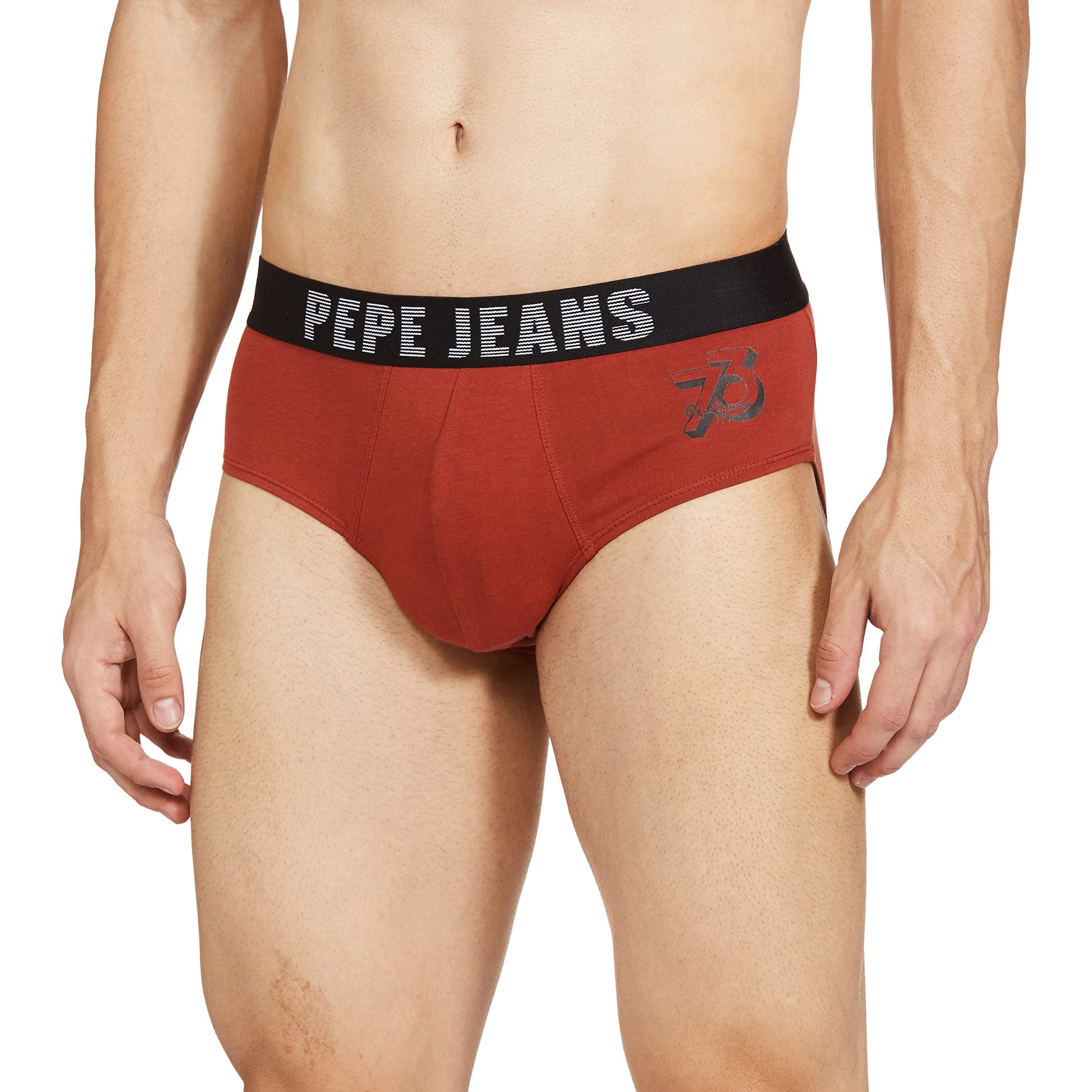 Pepe Jeans MenS Cotton Blend Briefs (Pack Of 1) (Opb07_Maroon-1_L)