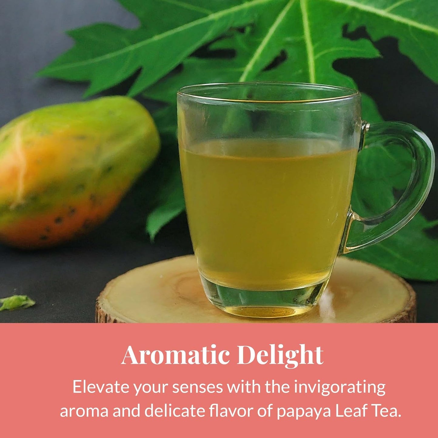 Akshit 75 Papaya Leaf Tea Bags (Té de hojas de papaya )– Caffeine-Free Herbal Support for Immunity & Digestion, Stress Relieving & Energy Tea.