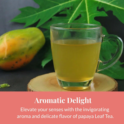 Akshit 75 Papaya Leaf Tea Bags (Té de hojas de papaya )– Caffeine-Free Herbal Support for Immunity & Digestion, Stress Relieving & Energy Tea.