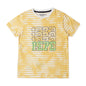 Pepe Jeans BoyS Regular Fit T-Shirt (Pb50364904310_Summer Yellow