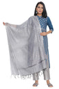 Aurelia WomenS Solid Rayon Blend Dupatta (21Cra80042-702337-Grey-Free Size_Silver_Free Size)