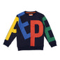 Pepe Jeans BoyS Cotton Blend Crew Neck Sweatshirt (Pb581465_Navy_4)