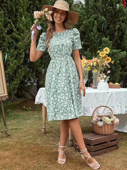 Tagas Women'S Rayon Fit And Flare Knee-Length Dress (Op-3110-1-Pista-Xl_Pista