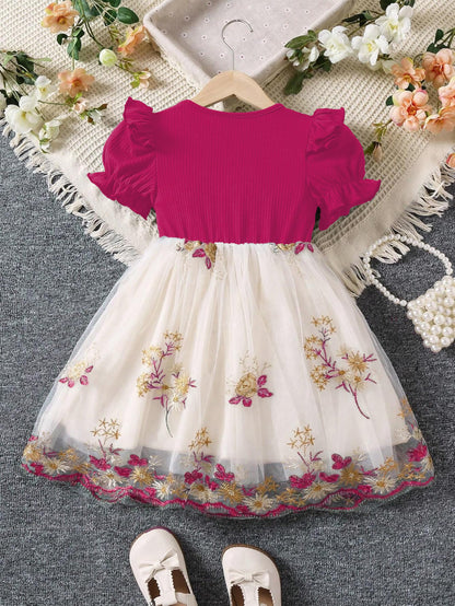TAGAS Girls Princess Dress | Girl Dress |Dresses birthdaydress for Babygirls |