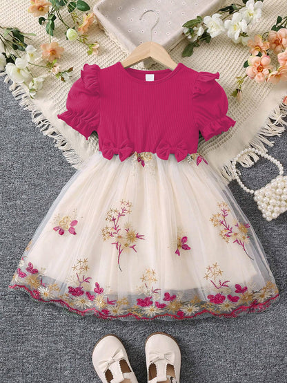 TAGAS Girls Princess Dress | Girl Dress |Dresses birthdaydress for Babygirls |