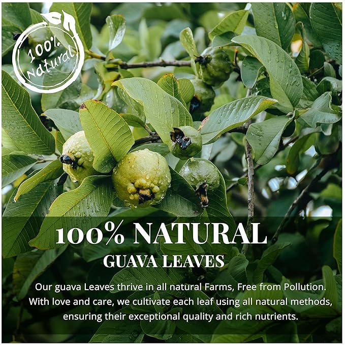Akshit Dried Guava Leaves 100% Natural, ( Hojas De Guayaba ) | Loose Tea, Non-GMO, Vegan, Gluten-Free | Support Digestive and Immune Health  2.5 oz