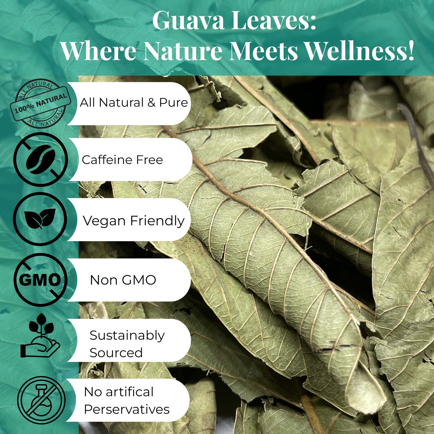 Akshit Dried Guava Leaves 100% Natural, ( Hojas De Guayaba ) | Loose Tea, Non-GMO, Vegan, Gluten-Free | Support Digestive and Immune Health  2.5 oz