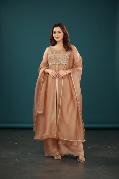 Tissue silk party wear dress