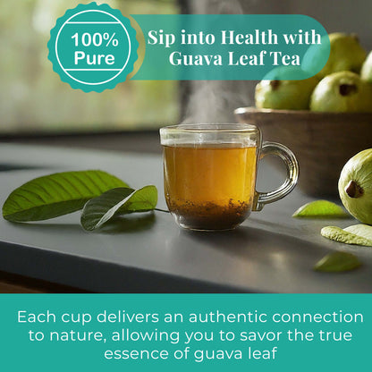 Akshit Dried Guava Leaves 100% Natural, ( Hojas De Guayaba ) | Loose Tea, Non-GMO, Vegan, Gluten-Free | Support Digestive and Immune Health  2.5 oz