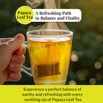 Akshit 75 Papaya Leaf Tea Bags (Té de hojas de papaya )– Caffeine-Free Herbal Support for Immunity & Digestion, Stress Relieving & Energy Tea.