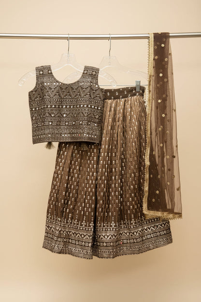 Lehenga Choli set for Girls