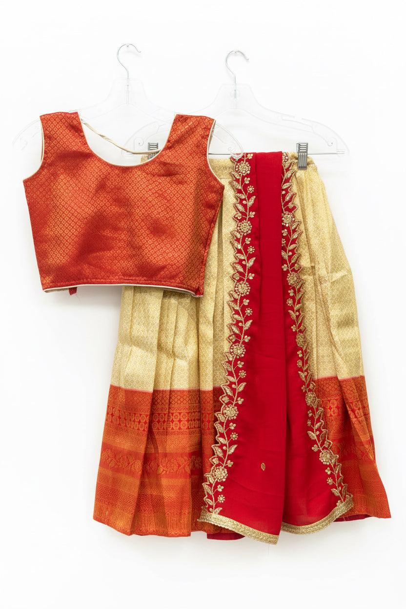 Lehenga Choli set for Girls