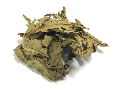 Akshit Papaya Leaves, Hojas de papaya, 2.6oz, Dried Papaya Leaf, Herbal Tea, Non GMO, Caffeine free, Sugar free, Rich In Vitamins.