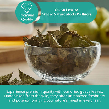 Akshit Dried Guava Leaves 100% Natural, ( Hojas De Guayaba ) | Loose Tea, Non-GMO, Vegan, Gluten-Free | Support Digestive and Immune Health  2.5 oz