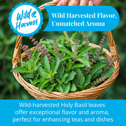 Akshit Dried Tulsi / Holy Basil Leaves | Tulsi Tea | Holy Basil Tea - 2.6oz